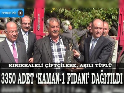 Kırıkkaleli çiftçilere Kaman-1 ceviz fidanı