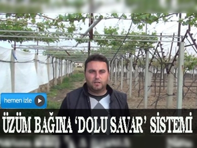 Üzüm bağına dolu savar sistemi yaptı