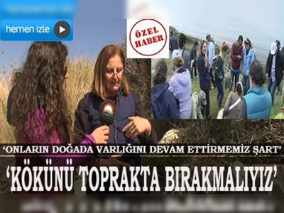 Yenebilen otları toplarken dikkat