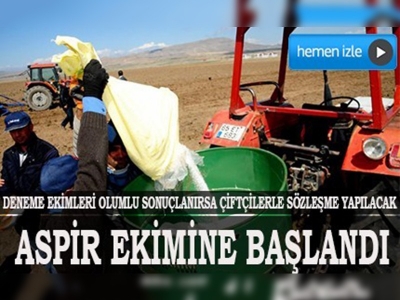 Van'da aspir ekimine başlandı