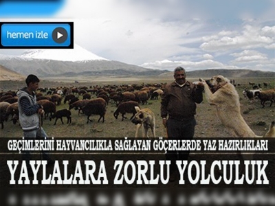 Yaylacıların zorlu yolculuğu