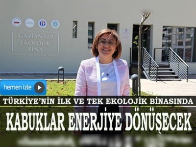 Antep fıstığı kabuğundan enerji üretilecek