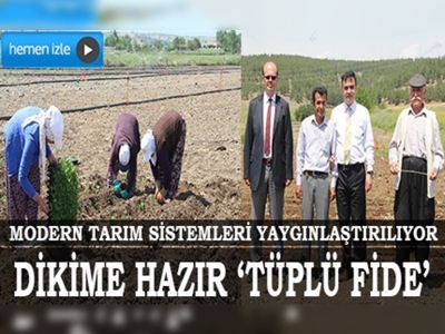 Kırmızı biber yetiştiriciliğinde modern tarım sistemleri yaygınlaştırılıyor