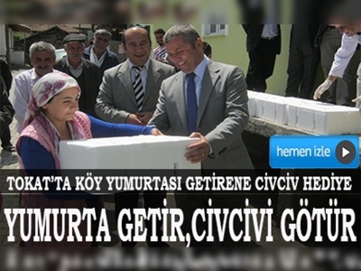 Tokatta köy yumurtası getirene civciv hediye