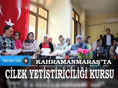 Kahramanmaraşta çilek yetiştiriciliği kursu