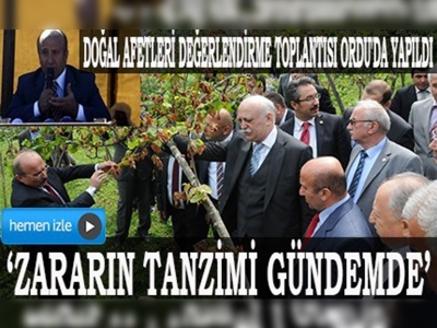 Arzu: Fındık üreticilerinin zararının tanzimi gündemde