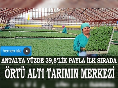 Örtü altı tarımın merkezi Antalya