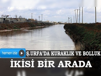 Şanlıurfada kuraklık ve bolluk bir arada