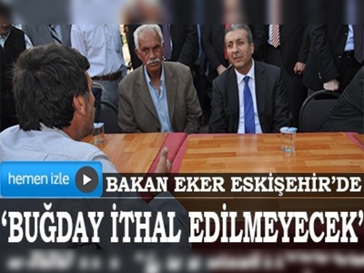 Buğday rekoltesi Türkiyenin ihtiyacının üzerinde