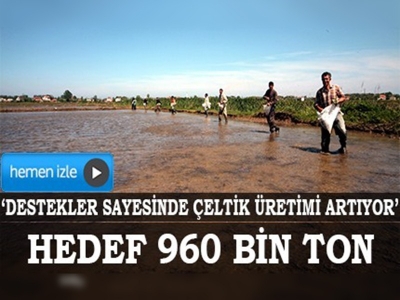 Çeltik üretiminde hedef 960 bin ton