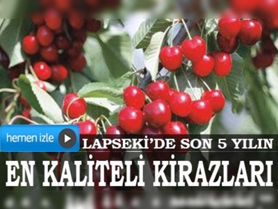 Lapseki'de kiraz verimi 3 kat arttı