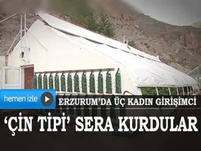 3 kadın girişimci Erzurum'da “Çin tipi” sera kurdu