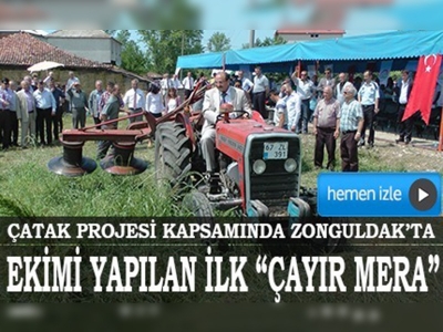 Zonguldakta yapay çayır mera açıldı