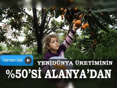 Yenidünya üretiminin yüzde 50si Alanyadan