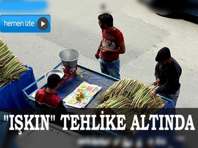 Işkın tehlikede