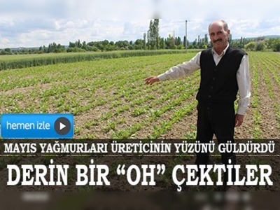 Mayıs yağmurları üreticinin yüzünü güldürdü