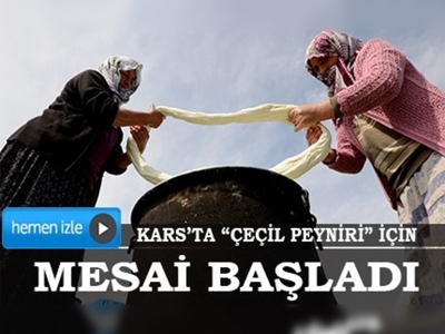 Kars'ta peynir mesaisi başladı