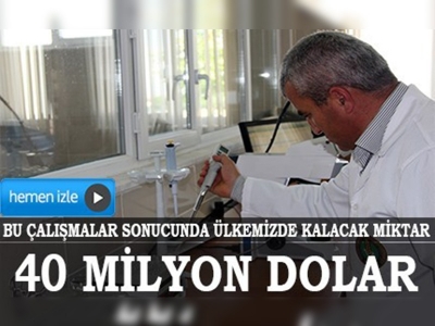 40 milyon dolarlık boğa sperması