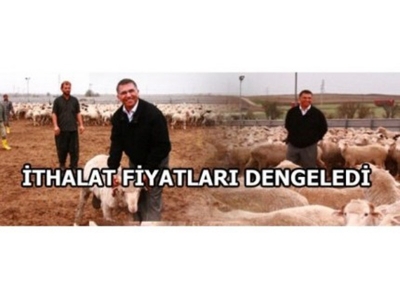 İthalat Fiyatları Dengeledi