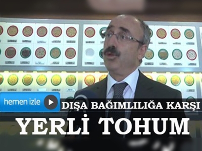 Dışa bağımlılığa karşı 