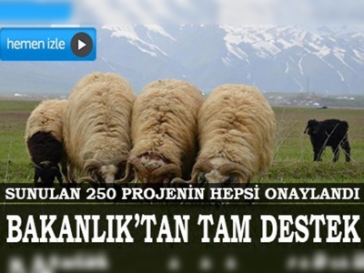 Hakkari'de huzur, tarım ve hayvancılığa yansıdı