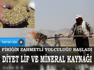 Firiğin zahmetli yolculuğu başladı 