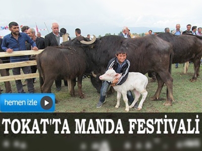 Tokat'ta Manda Festivali