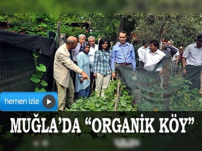 Muğla'da organik köy kuruluyor