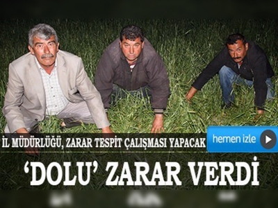 Yozgatta dolu 80 bin dekar ekili alana zarar verdi