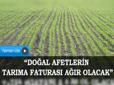 TZOBtan kuraklık ve doğal afet raporu