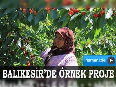 Balıkesirde örnek proje