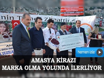 Amasya kirazı marka olma yolunda ilerliyor