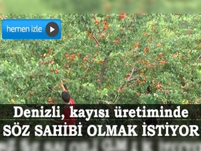 Denizli, kayısı üretiminde söz sahibi olmak istiyor