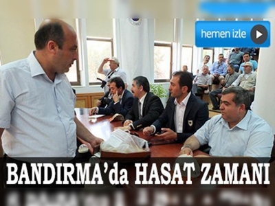 Bandırmada hasat zamanı