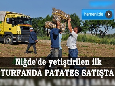 Niğde'de turfanda patates hasadı başladı