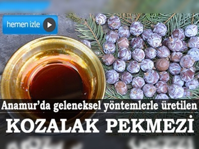 Kozalakların pekmez yolculuğu