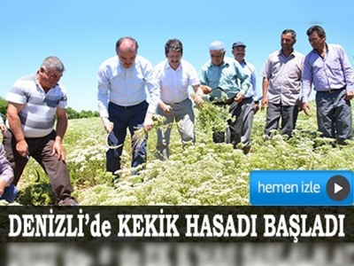 Dünya kekiğinin yüzde 89u Denizliden