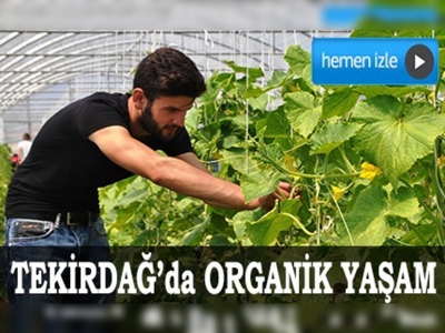 Tekirdağda organik yaşam 