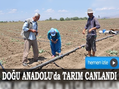 Çözüm süreci, Doğu Anadolu'da tarımı canlandırdı