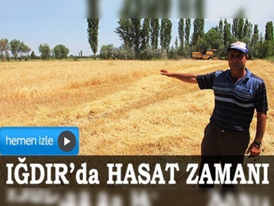 Iğdırda ilk arpa hasadı yapıldı