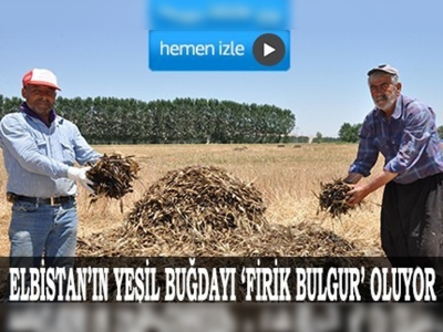 Elbistan’ın yeşil buğdayı 'firik bulgur' oluyor