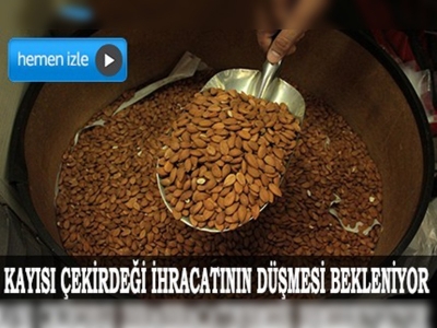 Kayısı gibi çekirdeği de 