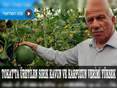 Sırık kavun ve karpuz yetiştirildi