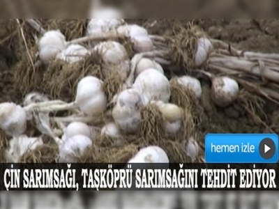 Kastamonuda Çin sarımsağı ekmeyin uyarısı