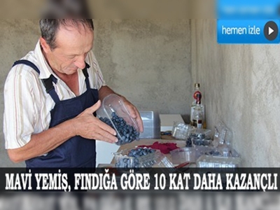 Organik mavi yemiş üretimiyle kazancını katladı