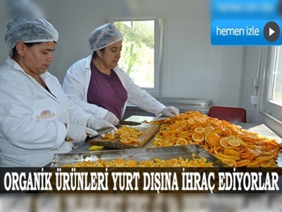 Kadın çiftçiler emeklerini paraya dönüştürüyor