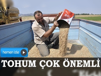 Verim düşüklüğüne karşı 'sertifikalı tohum'