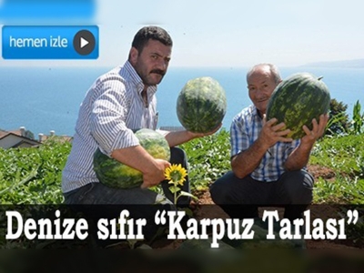 Denize sıfır karpuz tarlası