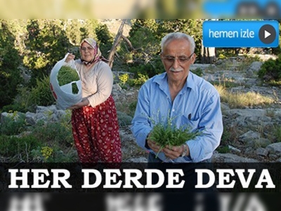 Akseki kekiği her derde deva