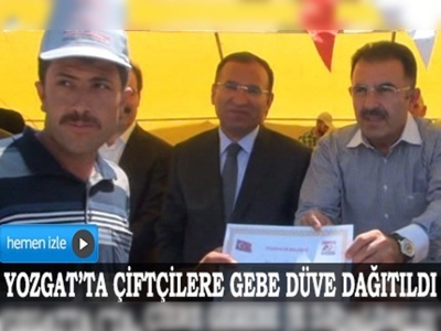 Adalet Bakanı Bozdağ, damızlık düve dağıtım töreninde